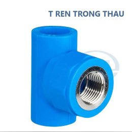 te-ren-trong-thau-ppr-20-x-12