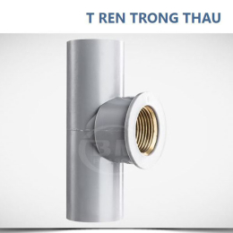 te-upvc-21-ren-trong-thau-binh-minh